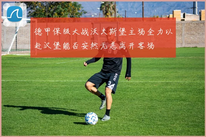 德甲保级大战沃夫斯堡主场全力以赴汉堡能否安然无恙离开客场
